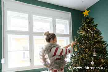 Surprising time a quarter of Britons will put their Christmas tree up  - and four top decorating tips