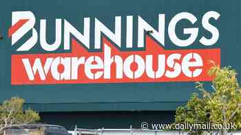 Bunnings boss declares profit is not a 'dirty word' after raking in $44billion profit