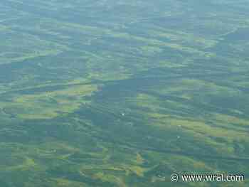 Algae bloom closes boat access to Wake Forest Reservoir