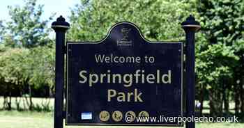 Springfield Park renovation work won't be complete by end of 2024