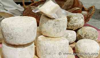 Police arrest man following theft of 22 tonnes of artisanal cheese