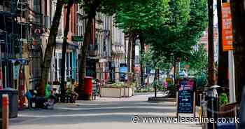 Man raped younger men after nights out in Swansea city centre