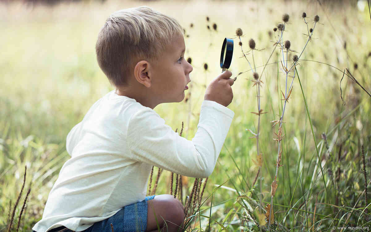 A Meditation to Welcome This Moment with Curiosity