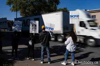 Two Port of Montreal terminals shut down as dockworkers begin new partial strike