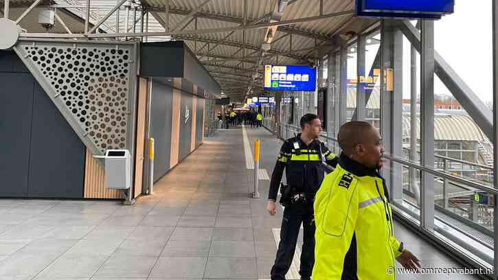 Al het treinverkeer rond Den Bosch stilgelegd door persoon op spoor