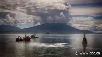 B.C. environmental groups lose bid to stop Alaskan fishery's sustainable certification