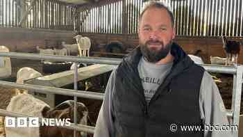 Generous roofer saves animal rescue shelter for free