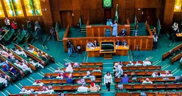 Reps reject call to restore Niger Delta ministry scrapped by Tinubu