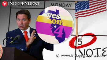 Abortion is on the ballot in Florida | What is Amendment 4?