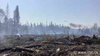 Here are some of the key numbers that defined Alberta's wildfire season