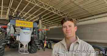 Jerilderie's big yields potential for new corn variety