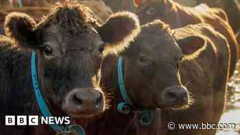 Green farming budget freeze 'will hit nature work'