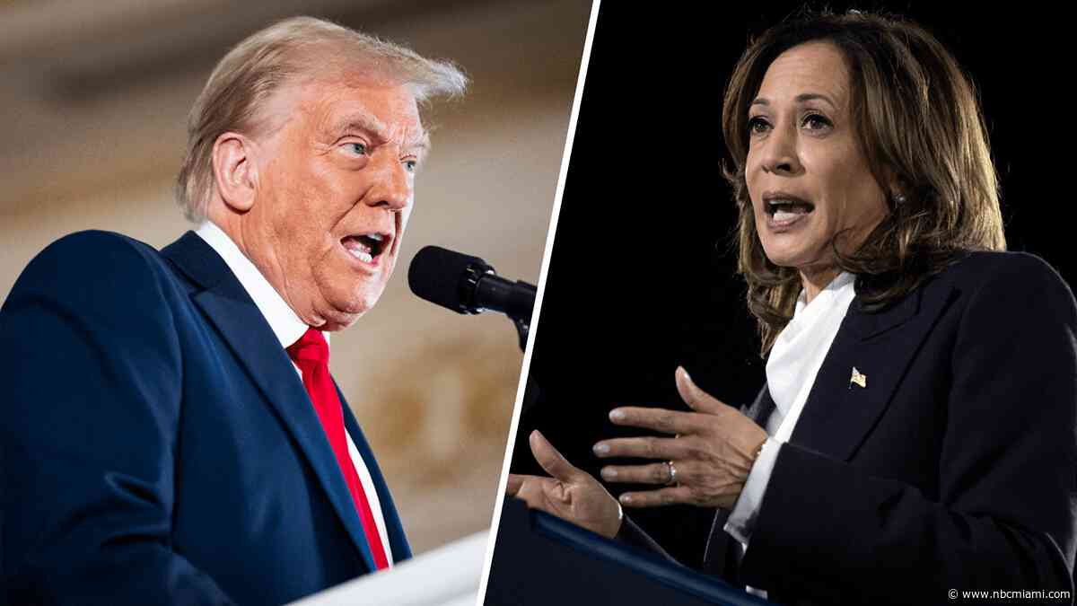 Trump or Harris: Who will win Florida's 30 Electoral College votes?