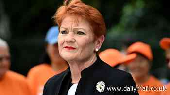 Judge preparing to determine whether Pauline Hanson made a racial slur in telling a Greens senator to go back to Pakistan