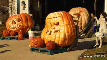 Giant pumpkins raise money in mother's memory for CancerCare