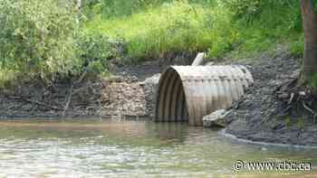 'Rain gardens' planned to reduce Winnipeg combined sewer overflows