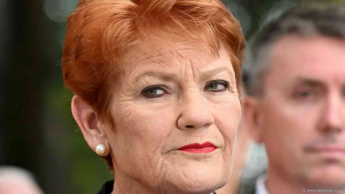 Pauline Hanson suffers major loss as court rules she racially discriminated against Mehreen Faruqi when she told Greens Senator to go back to Pakistan