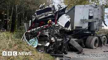 Truck driver in crash with tree has 'lucky' escape