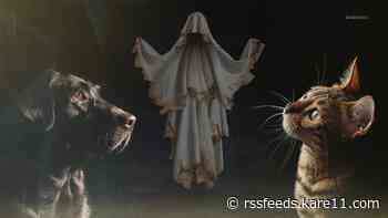 Can your dog or cat see ghosts?