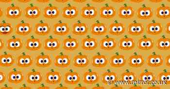 Only those with sharp vision can spot the hidden pumpkin in 30 seconds