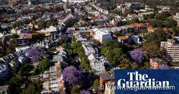 Jacaranda season in Sydney – in pictures