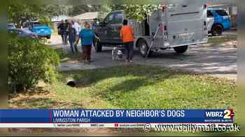 Elderly Louisiana woman is partially eaten by her neighbor's dogs after falling in driveway