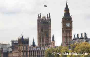 Farmers across UK to rally in London against &#39;devastating&#39; budget