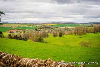 New campaign aims to &#39;defend&#39; family farms following budget