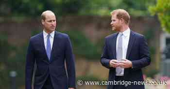 Royals 'listening' to Prince Harry after Prince William makes 'calculated move'