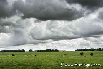 Budget will create &#39;lost generation&#39; of farmers, Lib Dems warn