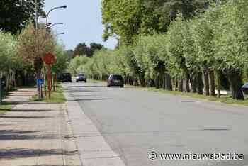 Bomen verdwijnen tijdelijk in  Zoutelaan door werkzaamheden