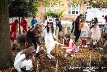 Leerlingen, ouders en leerkrachten planten meer dan 800 planten op speelplaats Dalton 2 in Hasselt