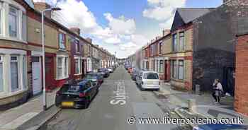 Police search alleyway for 'suspected firearm'