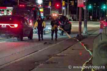 Pedestrian struck by pickup on Algonquin Avenue