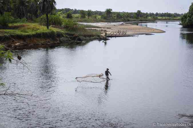 Delegates agree to establish Indigenous subsidiary body at COP16 biodiversity summit in Colombia