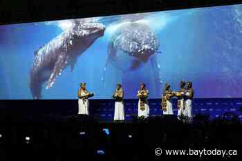 Delegates agree to establish Indigenous subsidiary body at COP16 biodiversity summit in Colombia