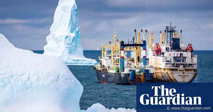 ‘Very bad precedent’: China and Russia team up to undermine krill fishing restrictions in Antarctica