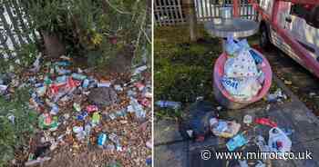 Inside grim UK neighbourhood where bins overflow and tidal wave of litter 'shames' residents