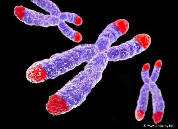 Wat zijn telomeren en wat is hun rol bij veroudering en vitaliteit?