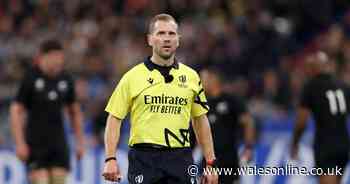 England v New Zealand referee Angus Gardner received late-night phone call from furious coach