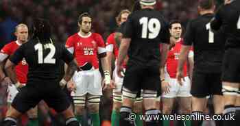 The day Wales won the haka and the inside story of the moment that gripped the world