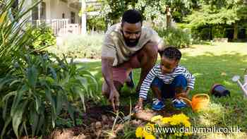 Warning over silent garden killer in backyards across America - after five deaths