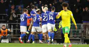 Cardiff City player ratings as duo pull Bluebirds over the line in Norwich City win