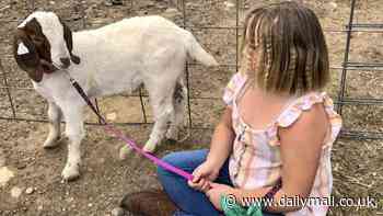 Little girl scores incredible victory after her pet goat was butchered and barbecued by California county