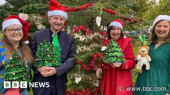 Christmas tree festival returns for third year