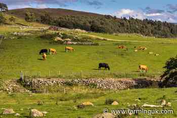 Consultation on Galloway national park proposal extended