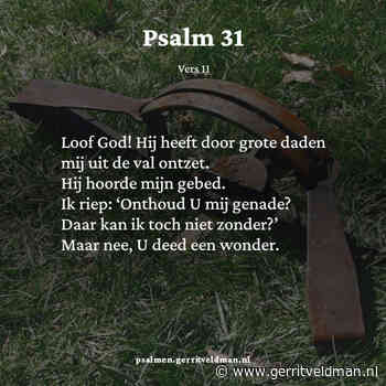 Berijming van Psalm 31