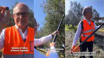 VIDEO| Roberto Gualtieri a raccogliere le olive nella Tenuta di Castel di Guido