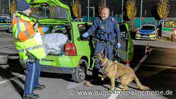 Anstieg von Fahrten unter Cannabis-Einfluss: Mit dem Spürhund gegen Drogen am Steurer