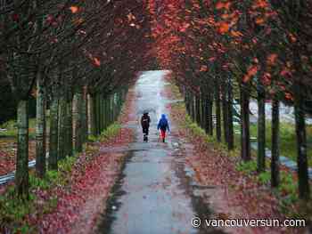 Metro Vancouver weather: 'Potent' rain, windstorm to hit B.C. south coast Monday